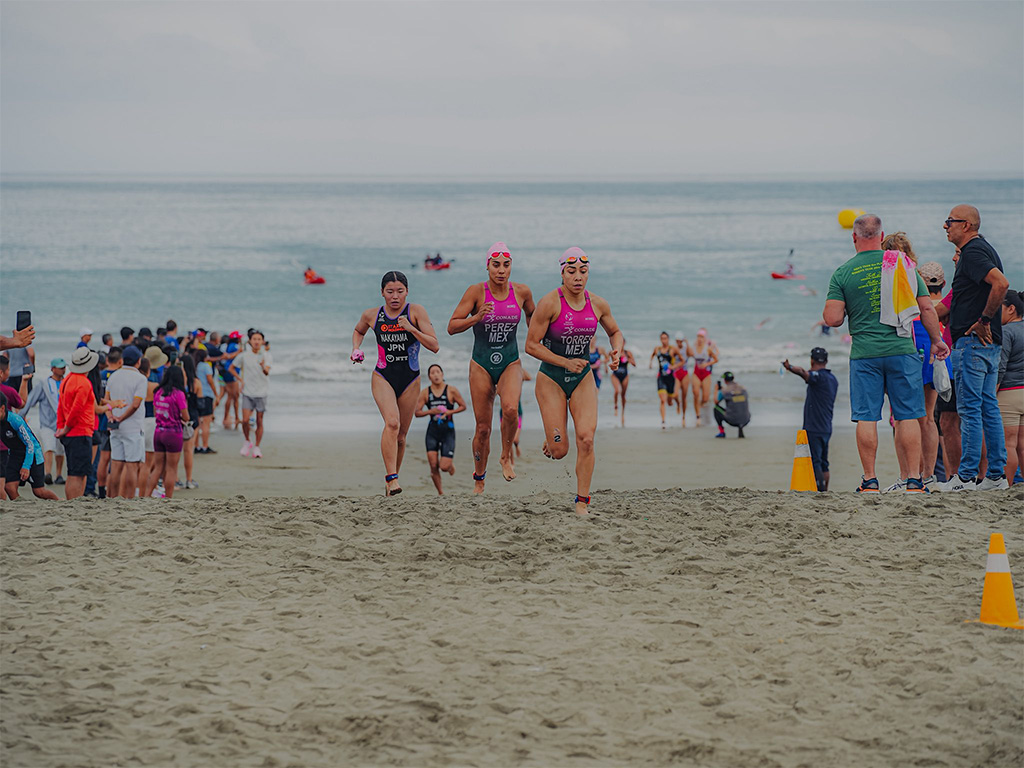 Americas Cup 4 Americas Triathlon Cup temporary tattoos