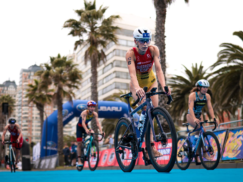 World Tri Chile 2 World Triathlon Chile Temporary Tattoos